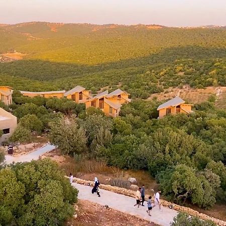 Ajloun Forest Reserve Джераш Екстер'єр фото