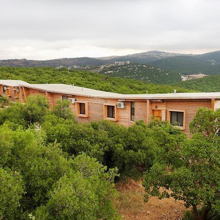 Ajloun Forest Reserve Джераш Екстер'єр фото
