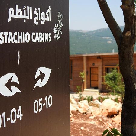 Ajloun Forest Reserve Джераш Екстер'єр фото