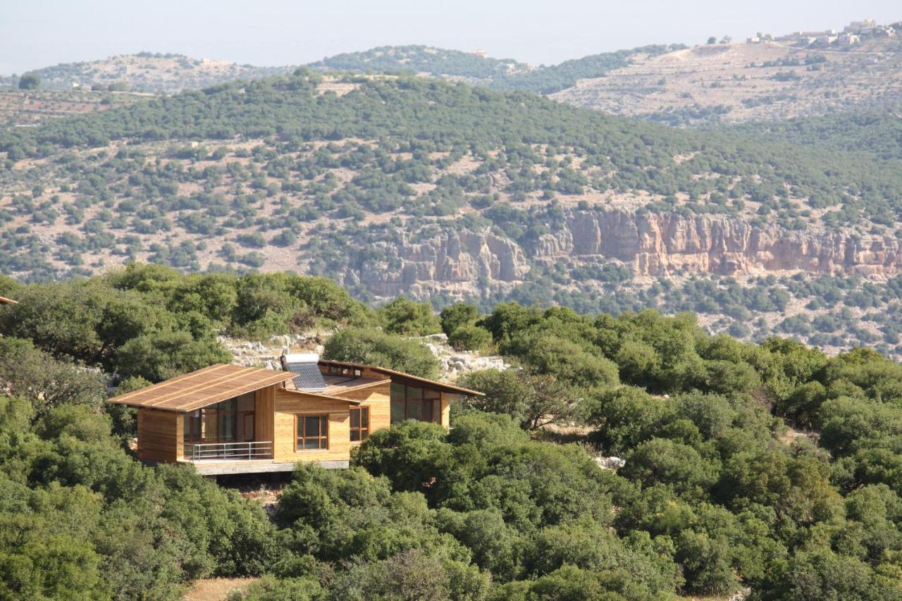Ajloun Forest Reserve Джераш Екстер'єр фото
