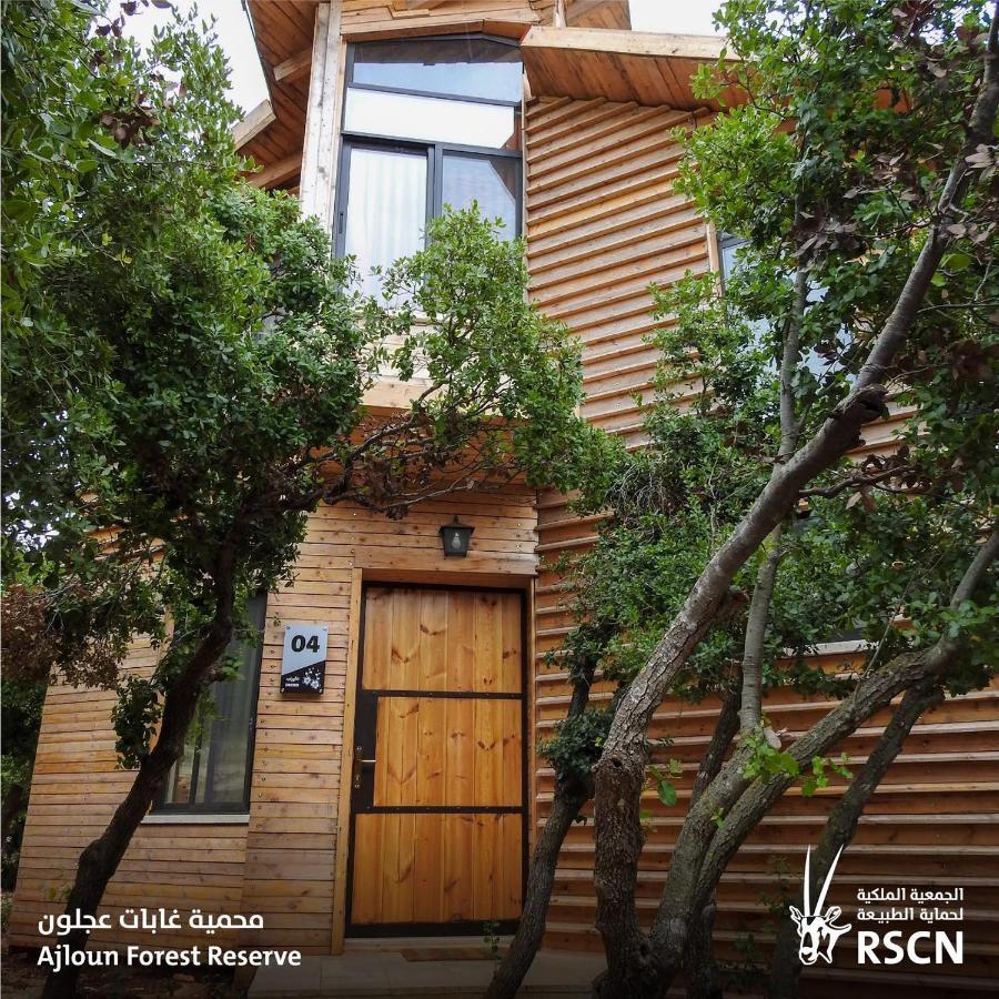 Ajloun Forest Reserve Джераш Екстер'єр фото