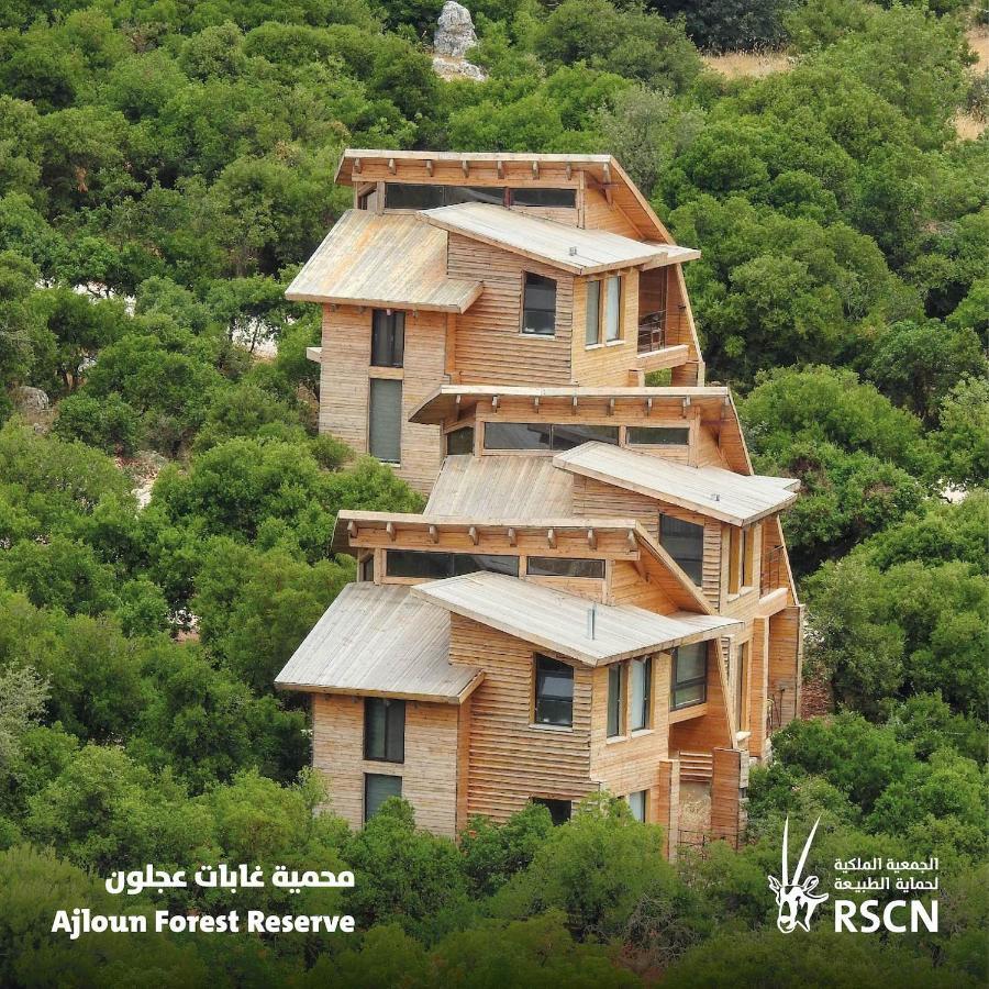 Ajloun Forest Reserve Джераш Екстер'єр фото