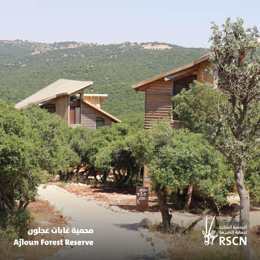 Готель Ajloun Forest Reserve Екстер'єр фото