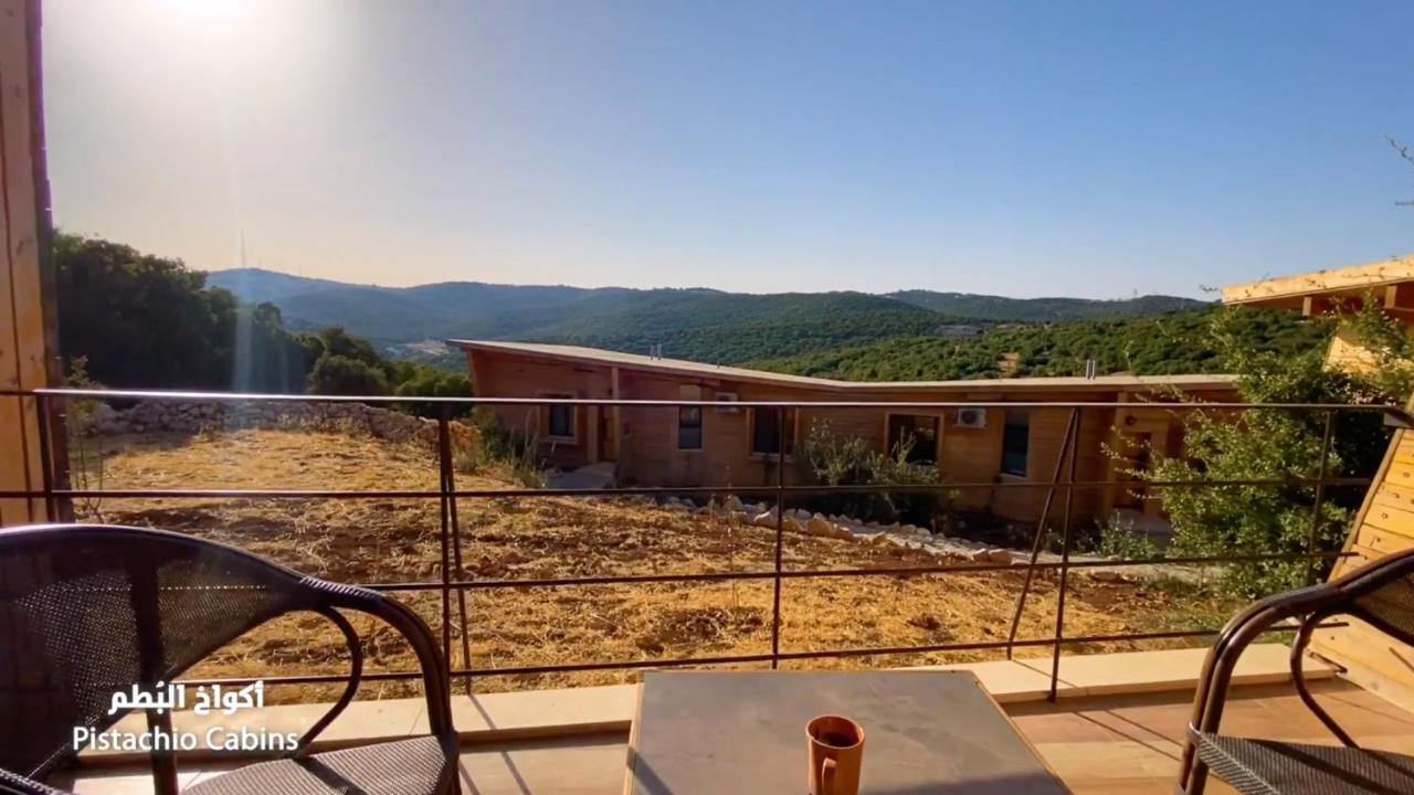Ajloun Forest Reserve Джераш Екстер'єр фото