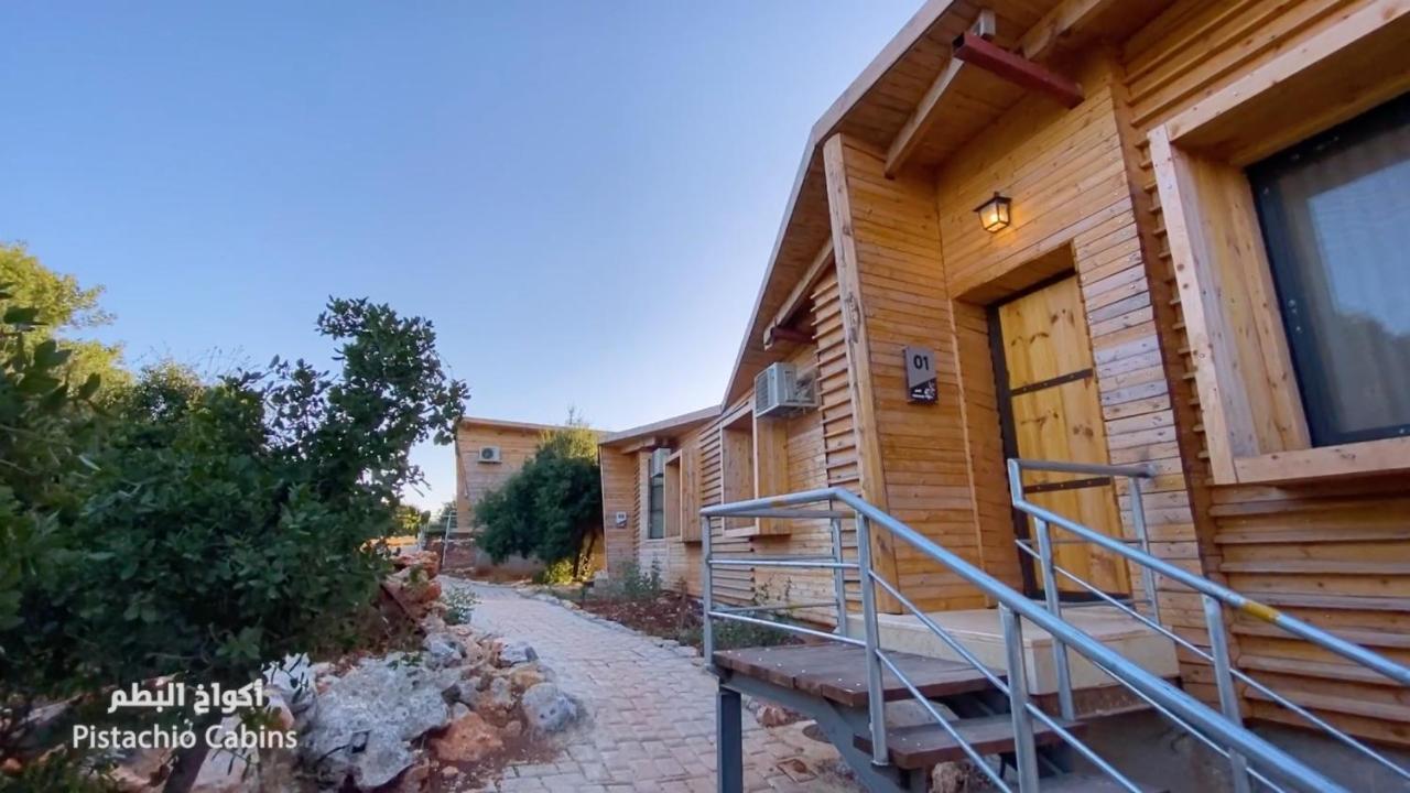 Ajloun Forest Reserve Джераш Екстер'єр фото
