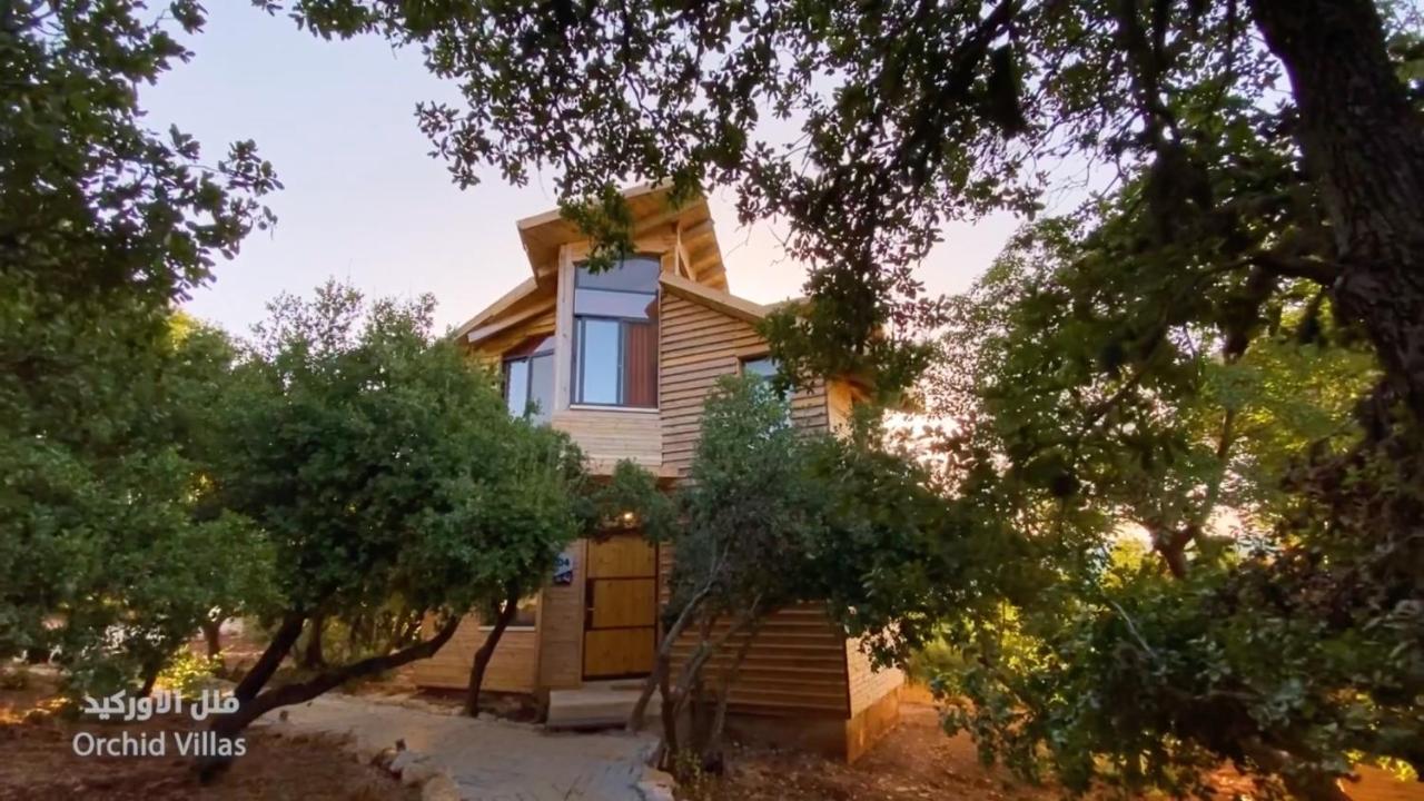 Ajloun Forest Reserve Джераш Екстер'єр фото