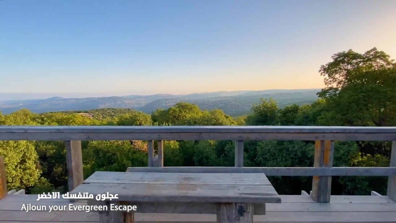 Ajloun Forest Reserve Джераш Екстер'єр фото