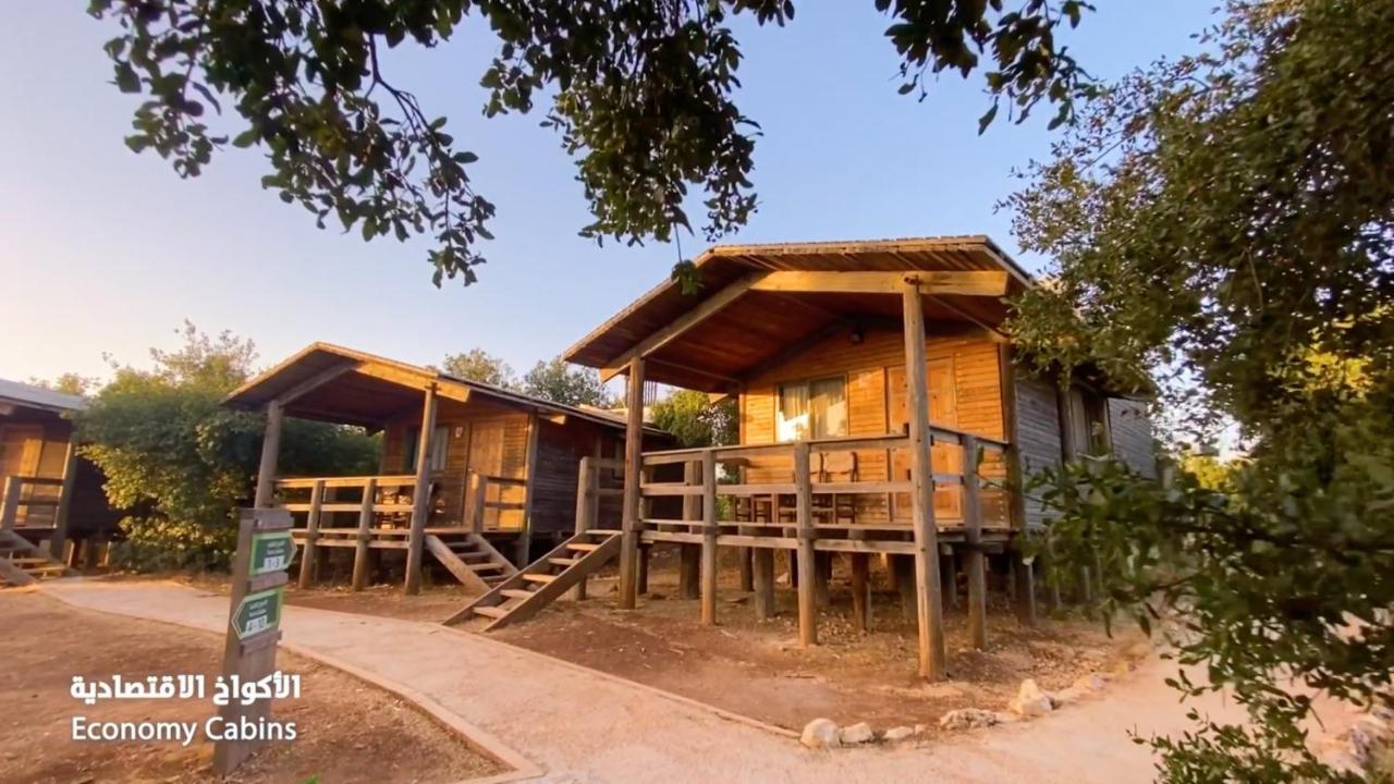 Ajloun Forest Reserve Джераш Екстер'єр фото