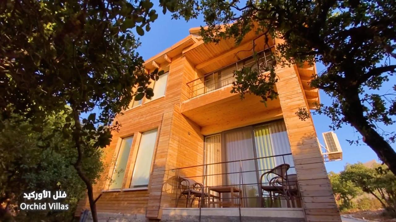 Ajloun Forest Reserve Джераш Екстер'єр фото