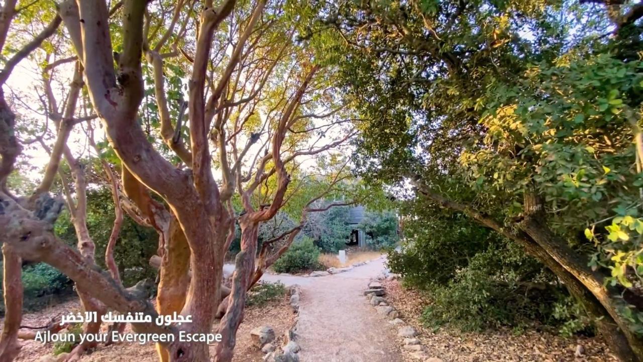 Готель Ajloun Forest Reserve Екстер'єр фото