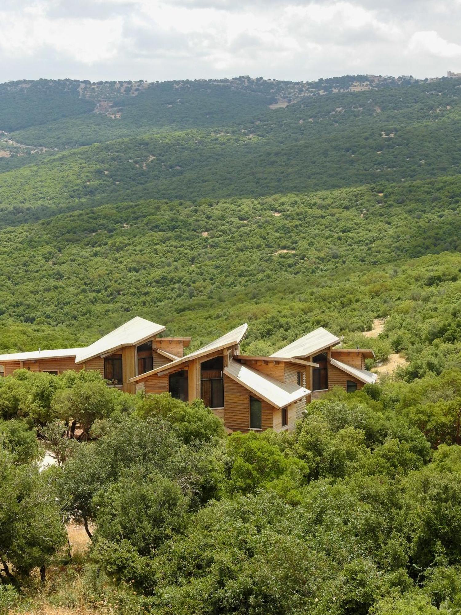 Ajloun Forest Reserve Джераш Екстер'єр фото