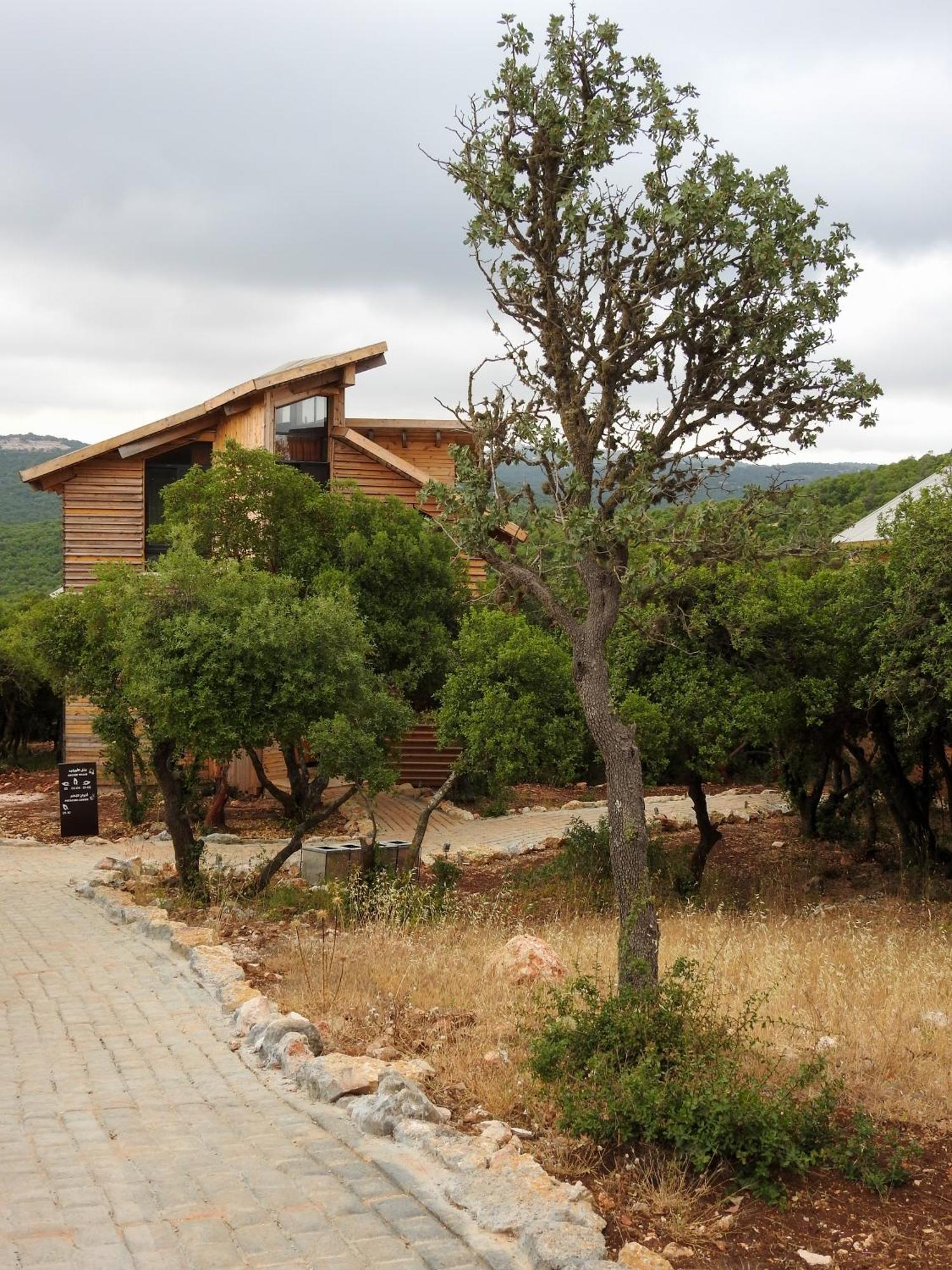 Ajloun Forest Reserve Джераш Екстер'єр фото