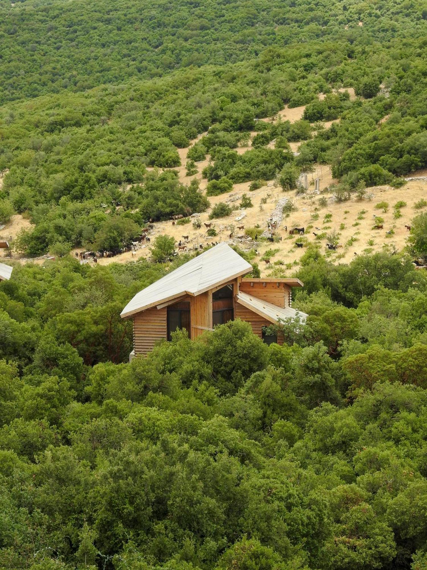 Готель Ajloun Forest Reserve Екстер'єр фото