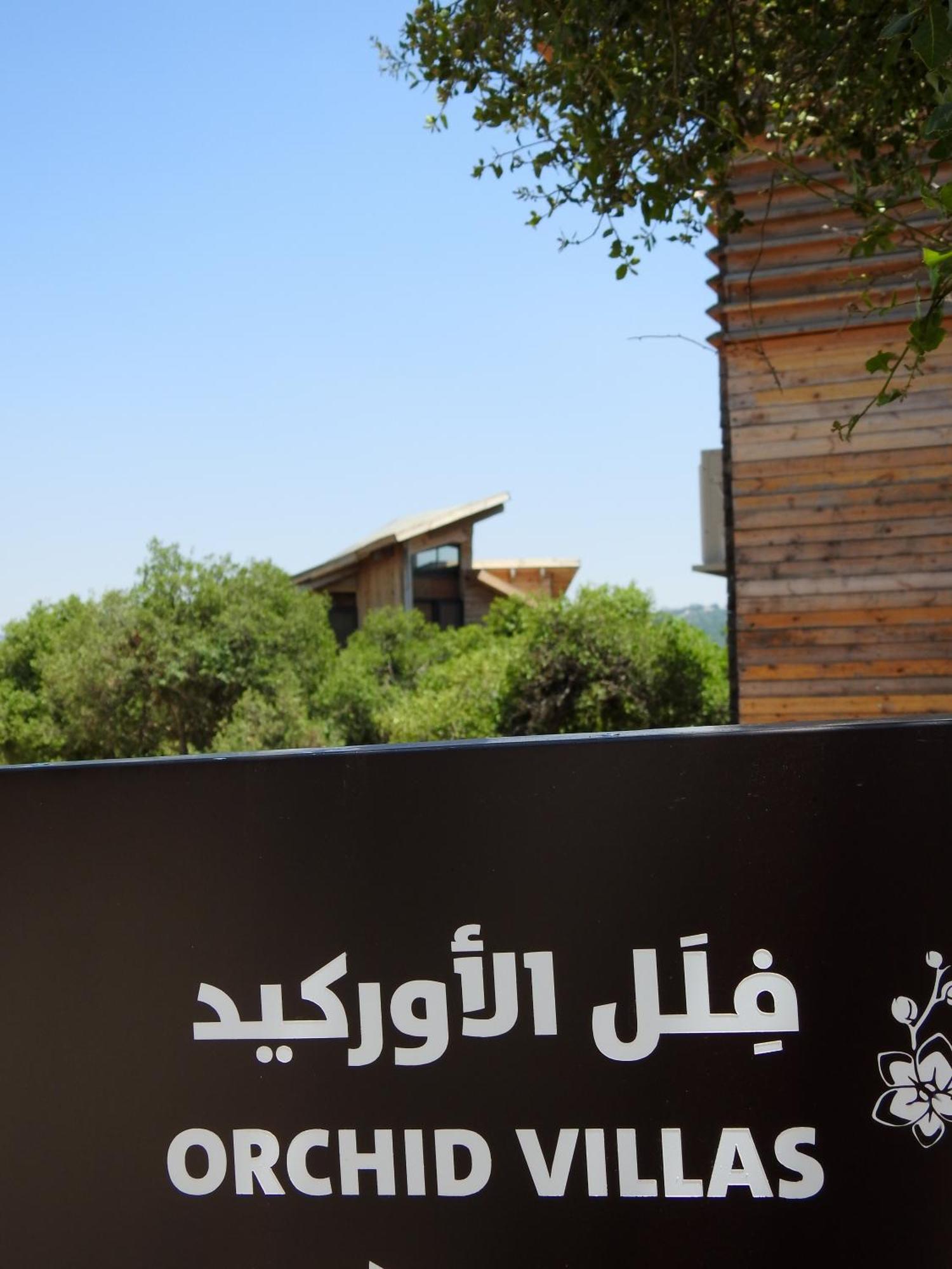 Ajloun Forest Reserve Джераш Екстер'єр фото