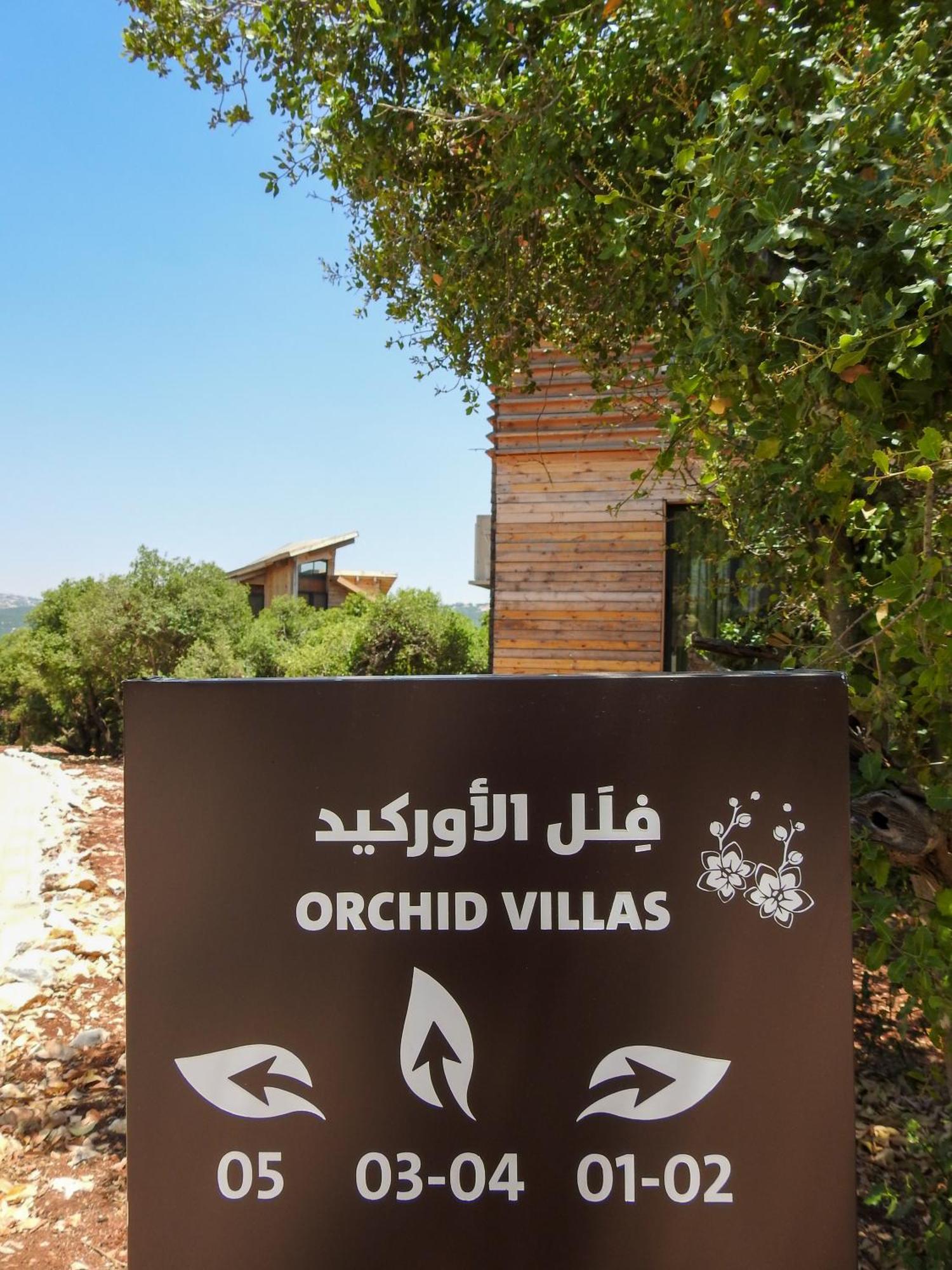 Ajloun Forest Reserve Джераш Екстер'єр фото