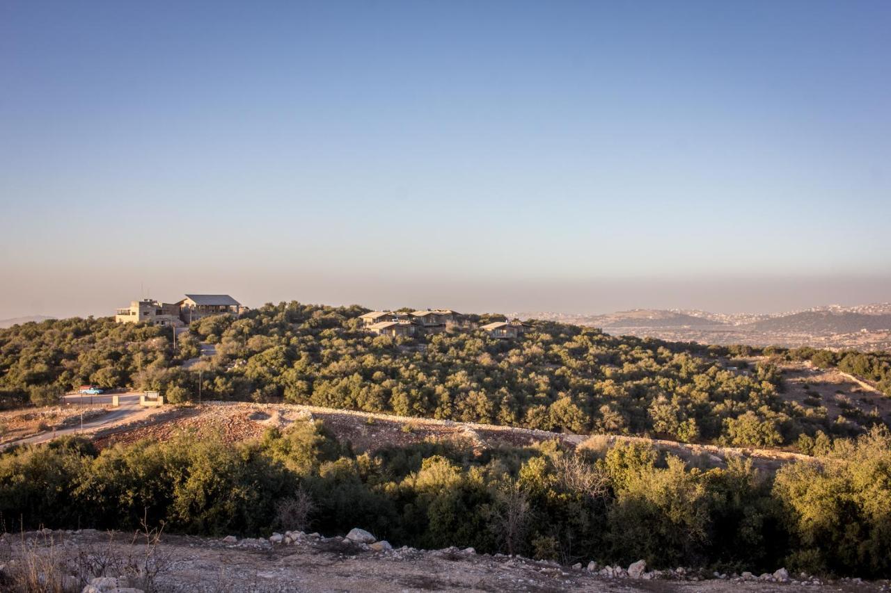 Ajloun Forest Reserve Джераш Екстер'єр фото