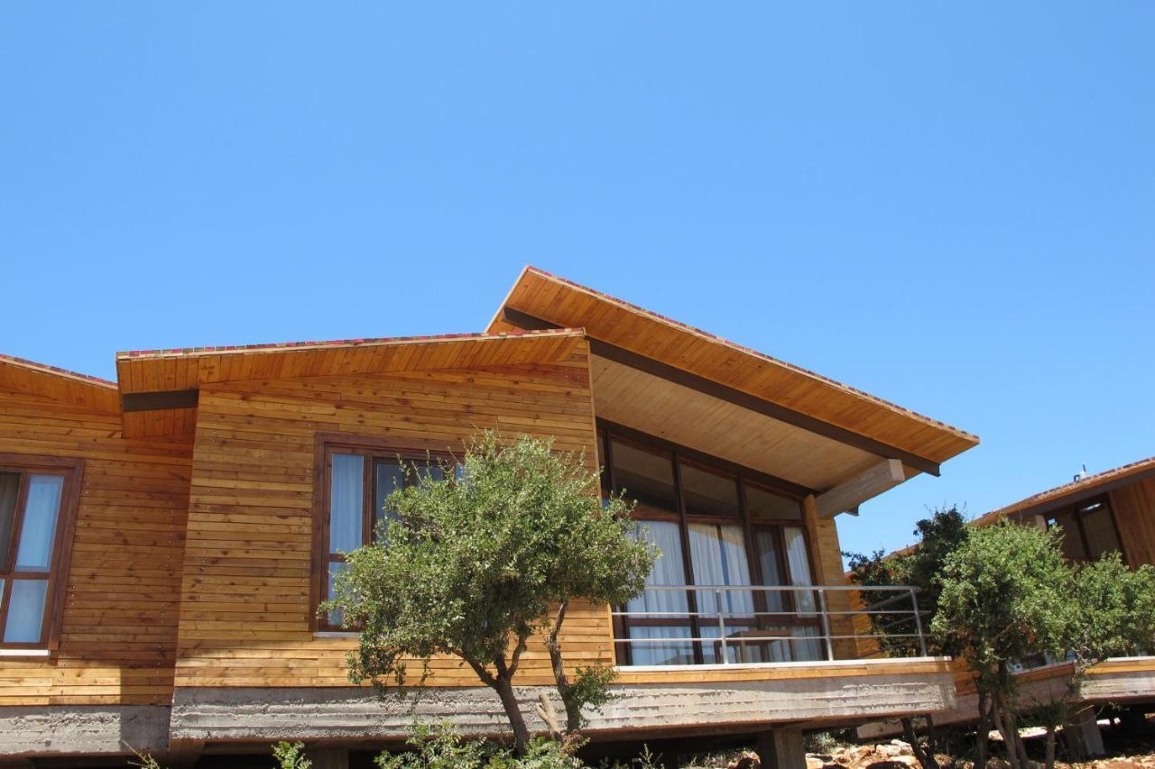 Ajloun Forest Reserve Джераш Екстер'єр фото