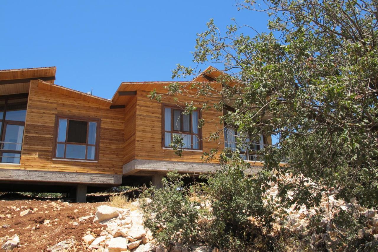 Ajloun Forest Reserve Джераш Екстер'єр фото