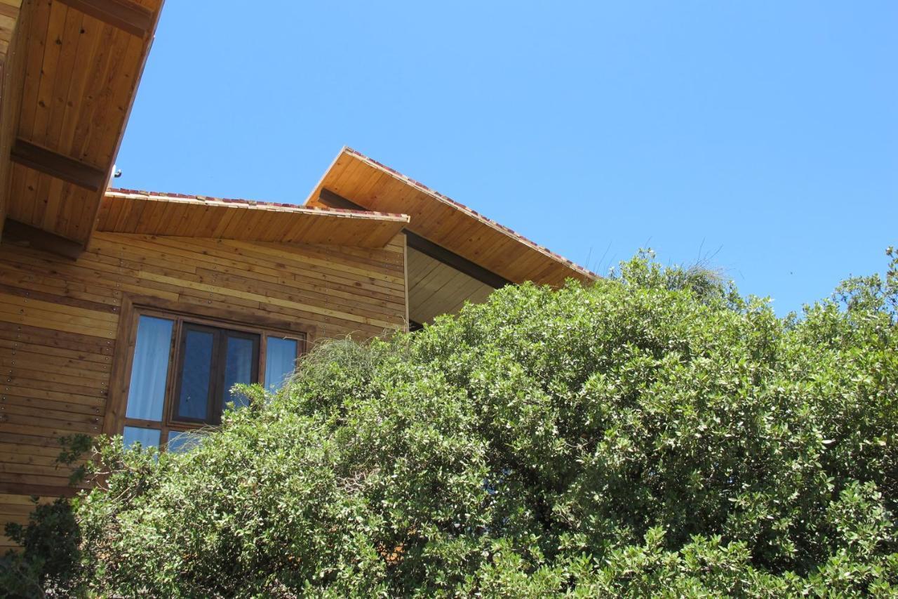 Ajloun Forest Reserve Джераш Екстер'єр фото