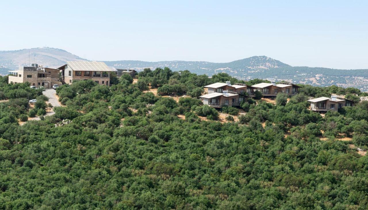 Ajloun Forest Reserve Джераш Екстер'єр фото